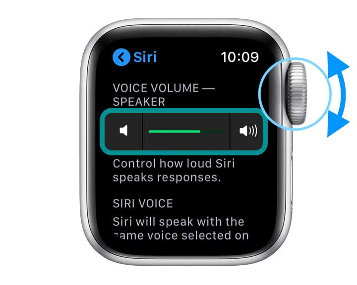 change the volume of Siri on Apple Watch