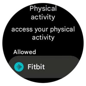 Google Pixel Watch allow Fitbit app access to physical activity data