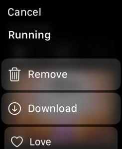 Download option in Apple Watch Music app