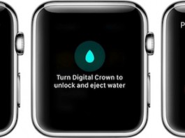 Why the Apple Watch Could Become Apple's Most Important Product