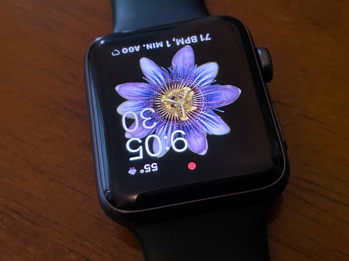 My Apple Watch's screen and watch face is upside down! It's an easy fix