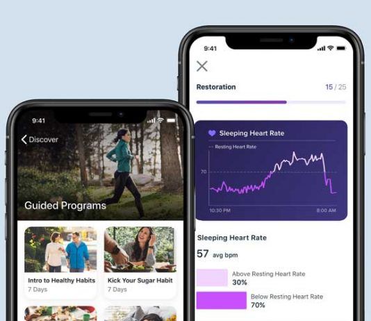 www myhelp fitbit com go