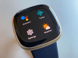 Fitbit Google Assistant app on Fitbit screen