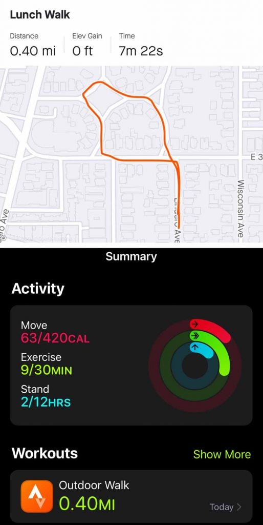 walk shows up in Strava and Apple Fitness when integrating Strava with Apple Health