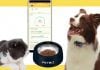 Petbiz smart bowl and wearable