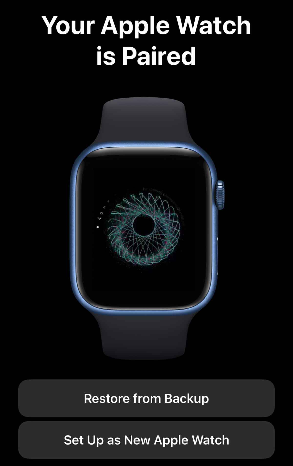 Apple Watch backup not working? Try these tips MyHealthyApple