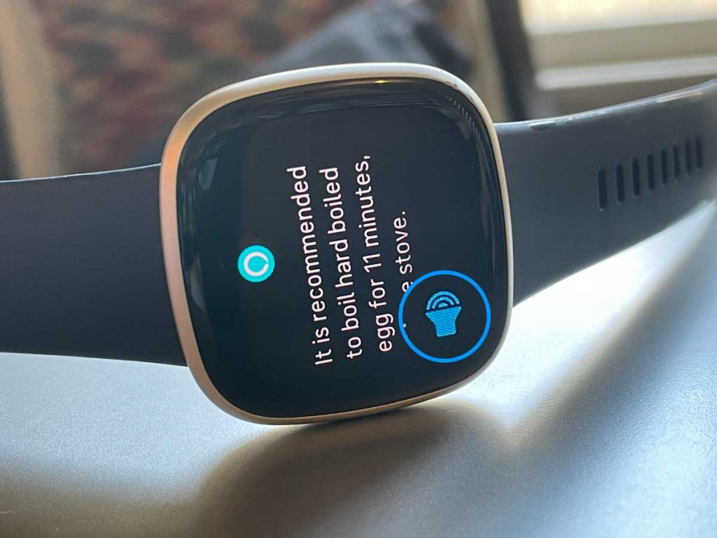 turn down or off and mute Alexa on Fitbit watch