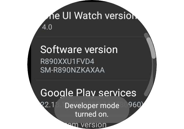 Developer option turned on for Samsung Galaxy Watch 4