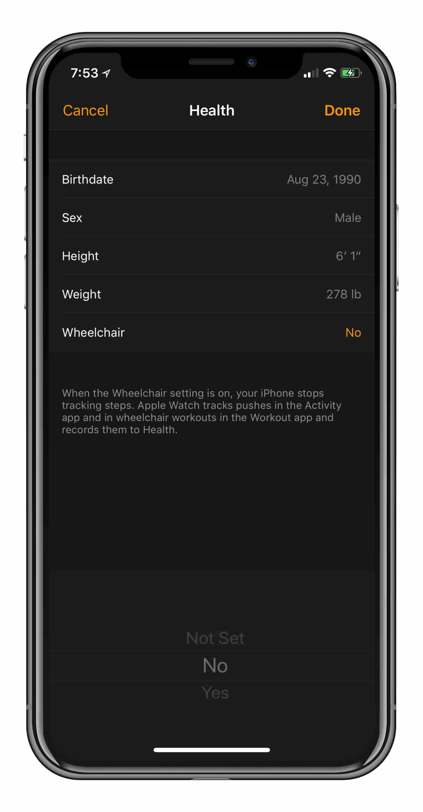 Apple Watch Achievements Not Updating? HowTo Fix MyHealthyApple