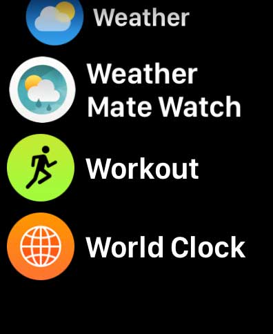Apple watch Workout app