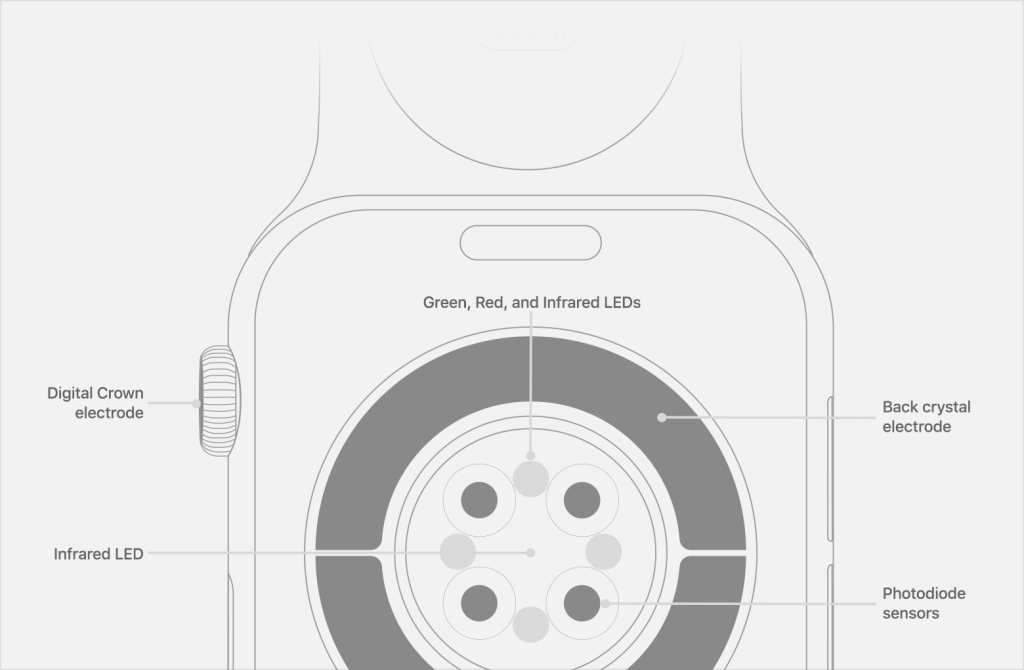 apple watch diagram
