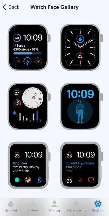 apple watch faces water minder