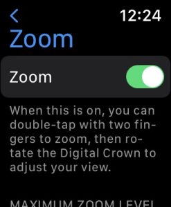 apple watch zoom setting